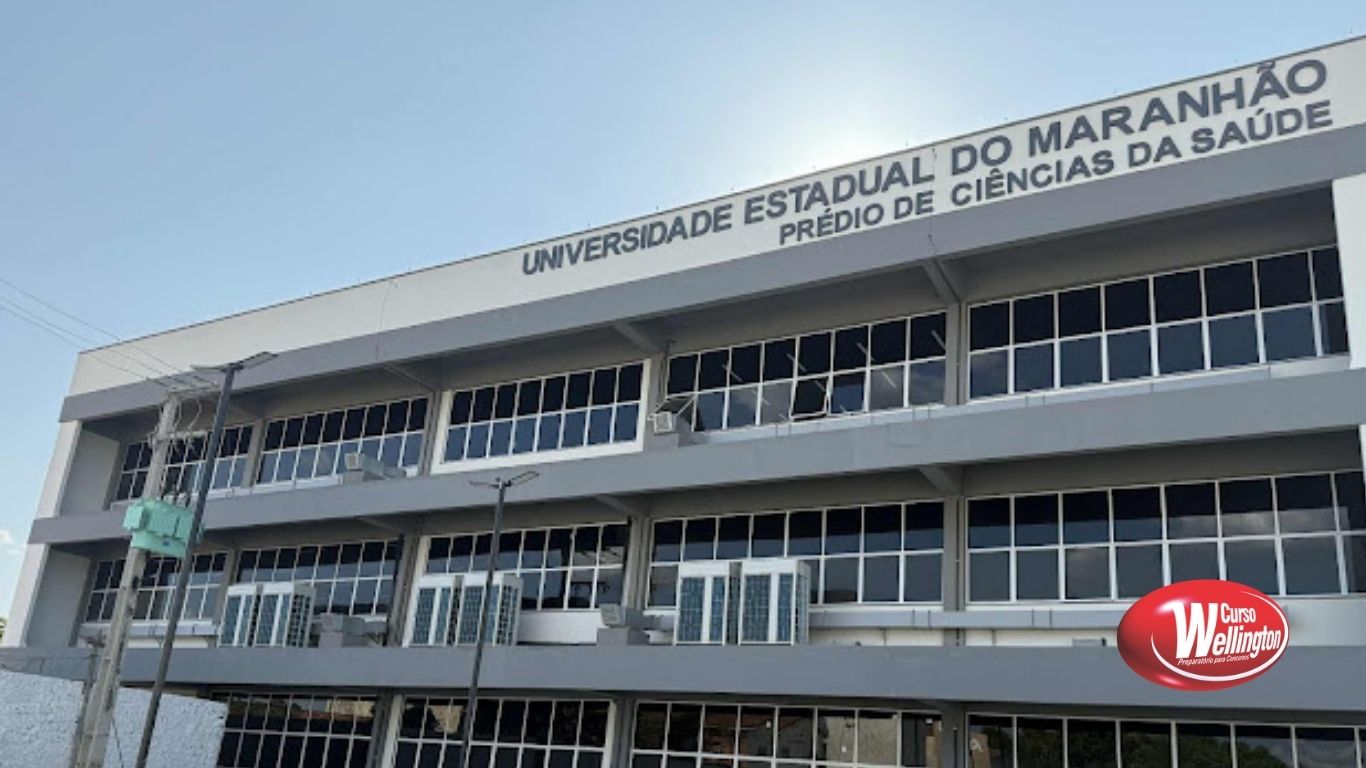 Você sabia? UEMA tem seleções para mestrado e doutorado: entenda as diferenças entre as modalidades